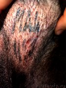 Превью фото № 246987