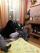 Превью фото № 246988