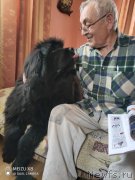 Превью фото № 246989