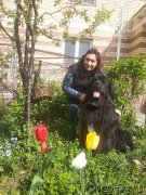 Превью фото № 247001