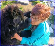 Превью фото № 247009