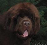 Превью фото № 24701