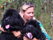 Превью фото № 247010