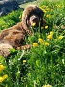 Превью фото № 247015