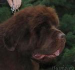 Превью фото № 24702