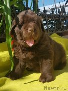 Превью фото № 247033