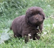 Превью фото № 247043