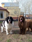 Превью фото № 247150