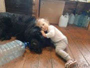 Превью фото № 247166