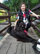 Превью фото № 247198