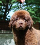 Превью фото № 247203