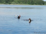 Превью фото № 247225