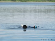 Превью фото № 247226