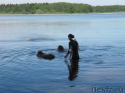 Превью фото № 247232