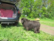 Превью фото № 247240