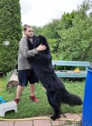 Превью фото № 247254