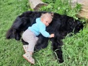 Превью фото № 247255