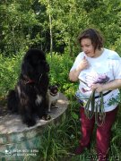 Превью фото № 247259