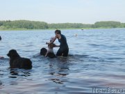 Превью фото № 247278