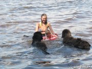 Превью фото № 247315