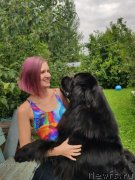 Превью фото № 247352