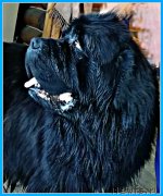 Превью фото № 247363