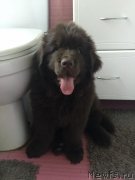 Превью фото № 247368