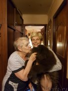 Превью фото № 247369