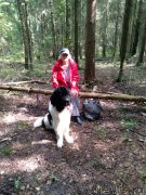 Превью фото № 247372