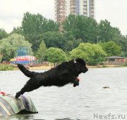 Превью фото № 247373