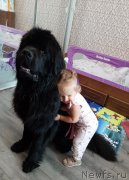 Превью фото № 247417