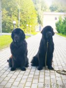 Превью фото № 247422