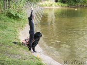 Превью фото № 247434