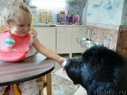 Превью фото № 247496