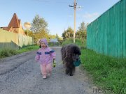 Превью фото № 247503