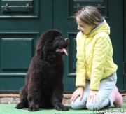 Превью фото № 247506