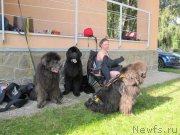 Превью фото № 247508