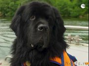 Превью фото № 247512