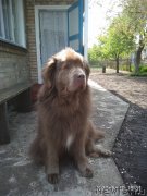 Превью фото № 247517