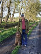 Превью фото № 247519