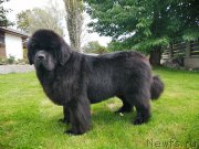 Превью фото № 247531