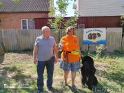 Превью фото № 247533