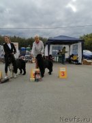 Превью фото № 247542