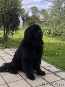 Превью фото № 247554