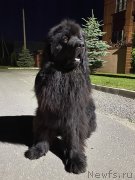 Превью фото № 247556