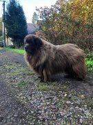 Превью фото № 247559