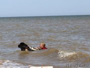 Превью фото № 247560