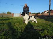 Превью фото № 247569