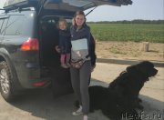 Превью фото № 247595