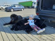 Превью фото № 247596